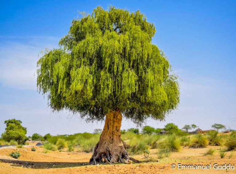 Tuesday October 29, 2019 Reading and Reflection