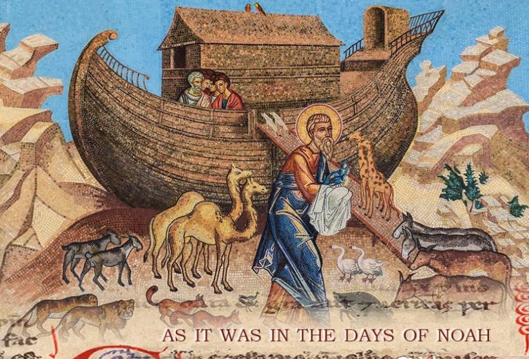 Friday 15 November 2019 Reading and Reflection
