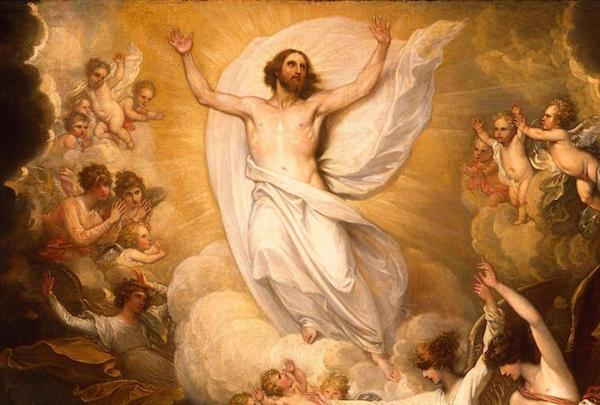 Sunday 10 November 2019 (32nd Sunday of the Year C) Reading and Reflection