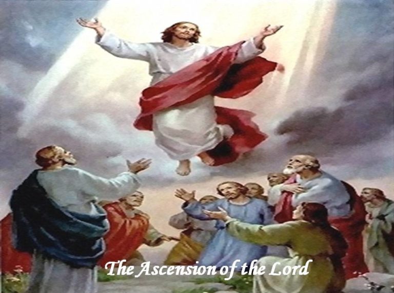 Sunday May 24, 2020. Readings and Reflection