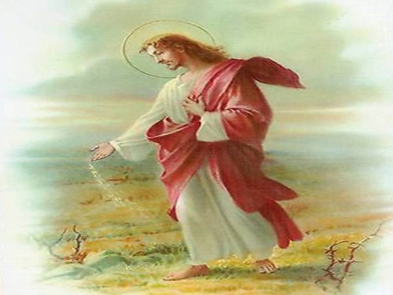 Monday 27th July 2020 Reading and Reflection