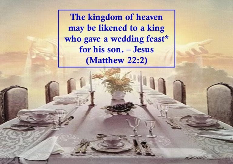 Thursday 20 August 2020. Readings and Reflection