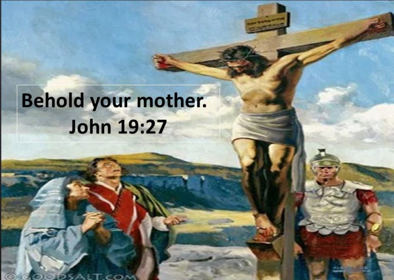 Tuesday 15th September, 2020. Readings and Reflection