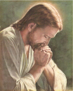 Wednesday 7th October 2020. Readings and Reflection