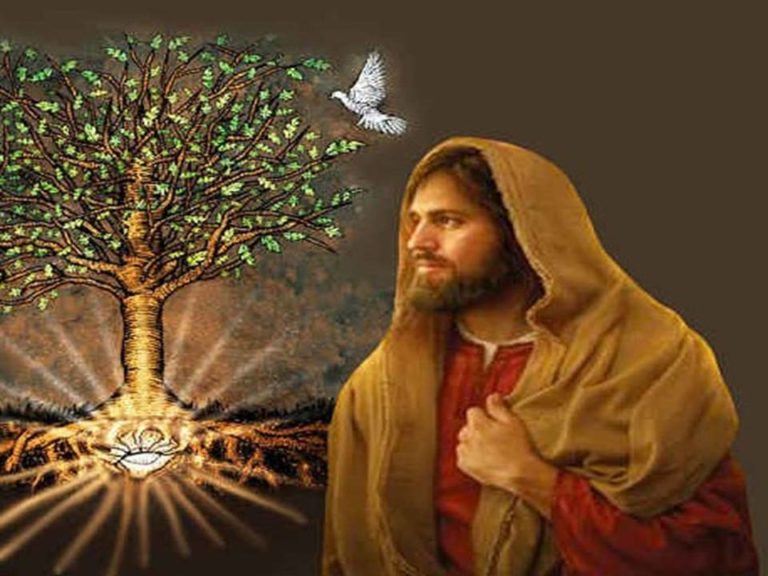 Readings and Reflection for October 25 Tuesday of the Thirtieth Week in Ordinary Time