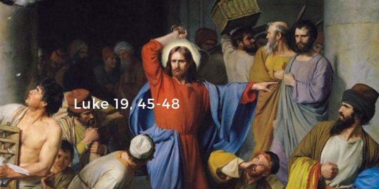 Friday November 20, 2020. Readings and Reflection