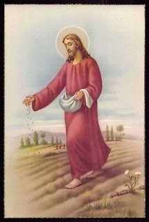 Readings and Reflection for January 29 Friday of the Third Week in Ordinary Time