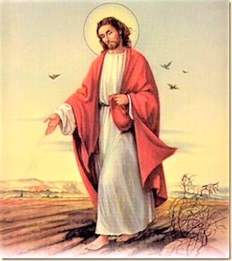 Readings and Reflection for Friday January 27, Memorial of Saint Angela Merici