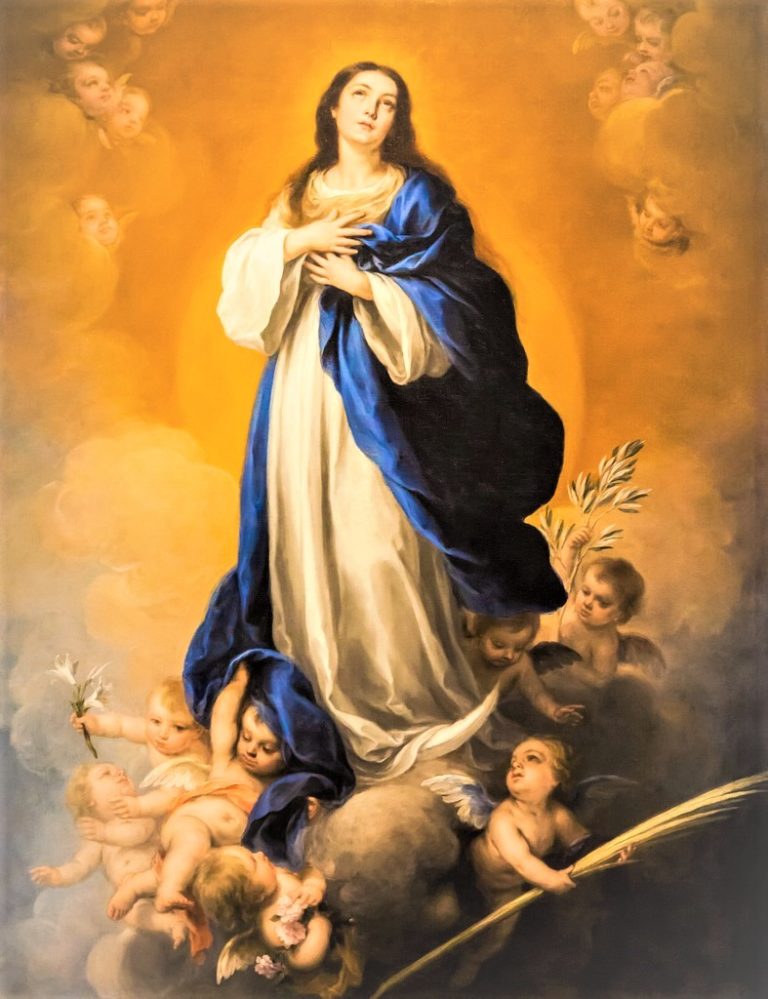 Readings and Reflection for December 8, Wednesday Solemnity of the Immaculate Conception of the Blessed Virgin Mary; Queen and Patroness of Nigeria