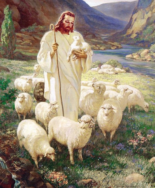 Readings and Reflection for Sunday May 8, Fourth Sunday of Easter (Good Shepherd Sunday)