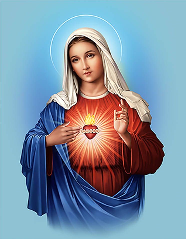Readings and Reflection Saturday June 25, The Immaculate Heart of the Blessed Virgin Mary (Memorial)