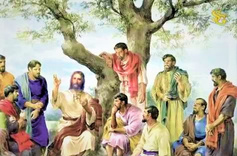 Readings and Reflection for June 9, Thursday of the Tenth Week in Ordinary time